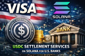 Visa USDC settlement services